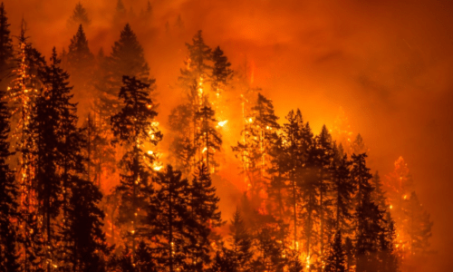 What You Need to Know When You Live in a Wildfire Zone